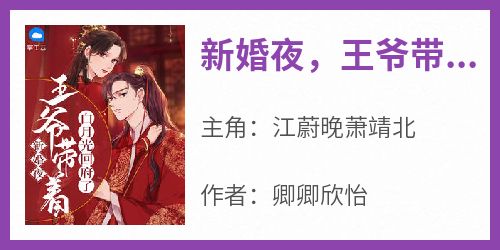(抖音)新婚夜，王爷带着白月光回府了江蔚晚萧靖北小说免费全文阅读