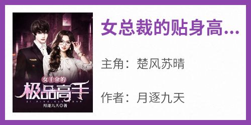 楚风苏晴是哪部小说的主角 《女总裁的贴身高手》全文无弹窗