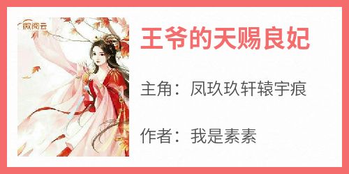 正版小说《王爷的天赐良妃》凤玖玖轩辕宇痕在线免费阅读