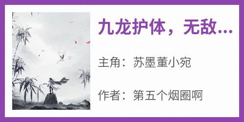 苏墨董小宛《九龙护体，无敌天下》完结版小说全文免费阅读
